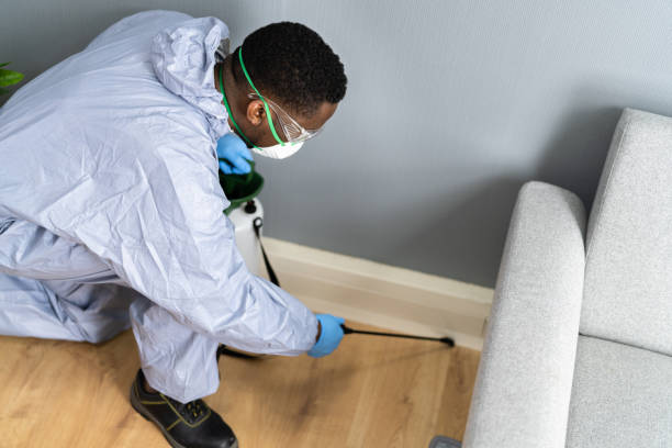 Best Bed Bug Extermination  in Columbia City, OR